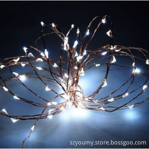 12V DC 5m 50LEDs Golden Cooper Wire Waterproof LED String